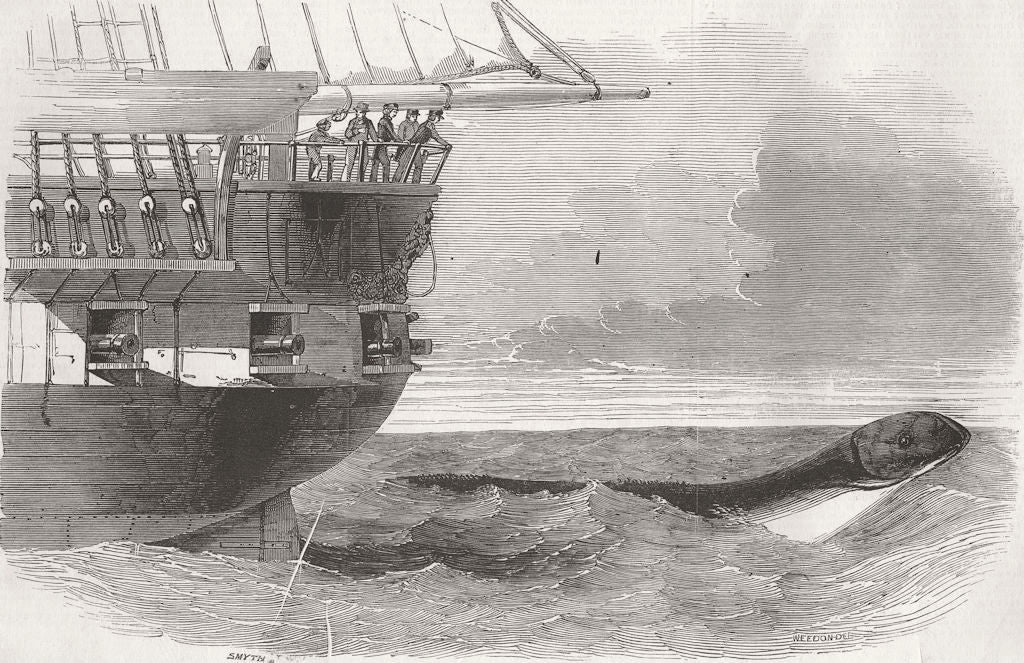 ANIMALS. Sea-Serpent passing below Daedalus 1848 old antique print picture